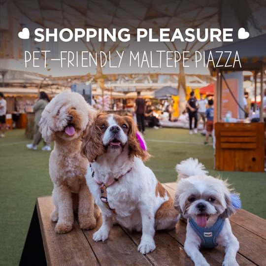 Shopping Pleasure Pet-Friendly in Maltepe Piazza